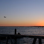 Faro