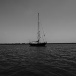 Faro