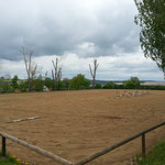 Reitplatz 50m x 60m