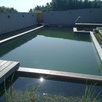 Teich
