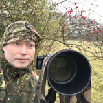 Natur und Wildlifefotografie Berlin Brandenburg Regional Sven Budberg.
