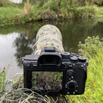 Natur und Wildlifefotografie Berlin Brandenburg Regional Sven Budberg.
