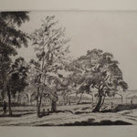 Paviot, Bords de fleuve, 17,6 x23,7.