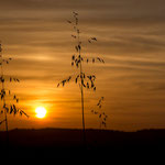 Lever de soleil sur la vallée de la Nied allemande