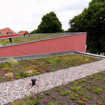 Schiller Gartengestaltung - Garten und Landschaftsbau Cuxhaven - Gewerbekunden - Dachbegrünung