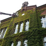 Schiller Gartengestaltung - Garten und Landschaftsbau Cuxhaven - Gewerbekunden - Dachbegrünung