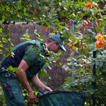 Schiller Gartengestaltung - Garten und Landschaftsbau Cuxhaven - Gartenpflege