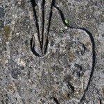 Hermann Hirschs Grab auf dem Jüdischen Friedhof in Göttingen