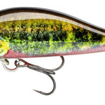 15216-004 live minnow
