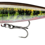15209-004 live minnow