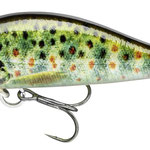 15216-009 live brown trout
