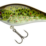 15211-607 live brown trout