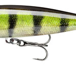 15209-006 live perch