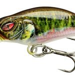 15217-004 live minnow
