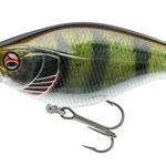 15205-806 live perch