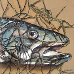 Fisch im Netz I, 19/19 cm/Pappe