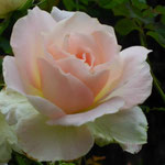 Westerland
