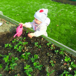Im Garten