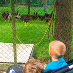 Im Tierpark