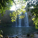 Whangarei Wasserfall
