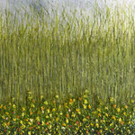 Öl . Schilff auf 100% Leinwand       130 x 90 cm