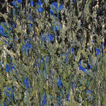 Öl auf 100% Leinwand        80 x 40 cm
