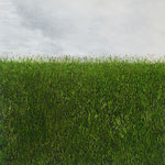 Öl auf 100% Leinwand            90 x90 cm