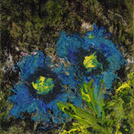 Öl auf 100% Leinwand     30 x 24 cm