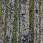 ÖL, Papier auf 100% Leinwand        140 x 50 cm