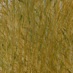 Öl auf 100% Leinwand          140 x 50 cm