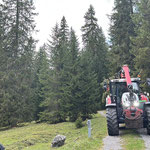 Astholz einfassen, Zugertal