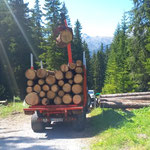 Rundholz laden Zugertal