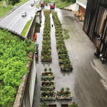 Die gemeindeeigenen Blumentröge bestückt und fertig zu Auslieferung am Bauhofvorplatz