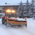 Unimog 400, Pflugeinsatz Zentrum