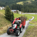 Forstarbeiten in Zug