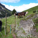 Wegedrehkreuz setzen Zug