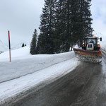 Pflugen in Oberlech, Steyr 6200 CVT