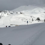 Paana auf der Schlosskopfrunde in Oberlech