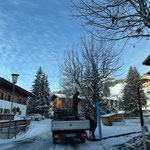 Stangen stellen