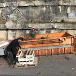 Blumenkisten leeren am Bauhof