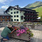 Blumenpflege am Kirchplatz