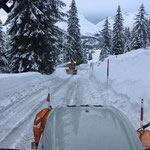 Steyr 6175 CVT, Pflug und Rolba 600 in Oberlech