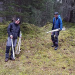 Schonungen ablegen Spullerwald, Engerle Wald