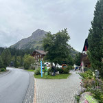 Rasenpflege