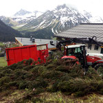 Forstaufräumarbeiten in Oberlech, mit Steyr 6190 CVT