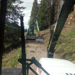 Astwerk einfassen in Stubenbach...
