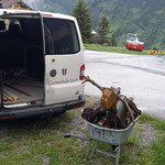 Tiere aufstellen Libellensee