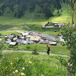 Mäharbeiten Wanderweg Berg