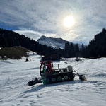 Snow Rabbit in Stubenbach