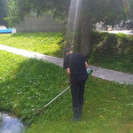 Rasenpflege im Schwimmbad